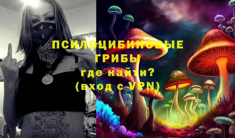 Псилоцибиновые грибы Magic Shrooms  Лакинск 